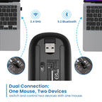 Rato Óptico Ewent EW3242 Dual Connection Bluetooth/2.4Ghz Wireless RGB 1600DPI Preto